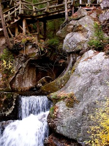 Bridge at Lost Gorge