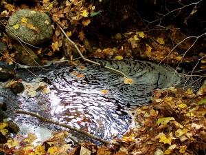 Water swirls